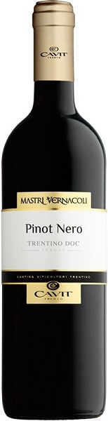 Вино Мастри Вернаколи Пино Неро (Mastri Vernacoli Pinot Nero) красное сухое 0,75л Крепость 12,5%
